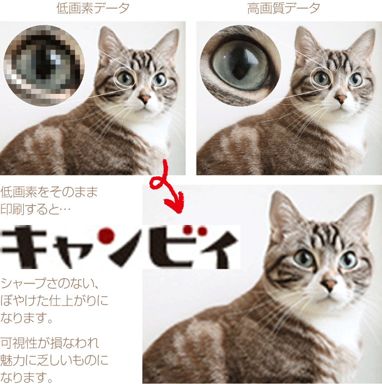  ������ ���f�� ���l�� ���Ǝ� �̂ڂ�