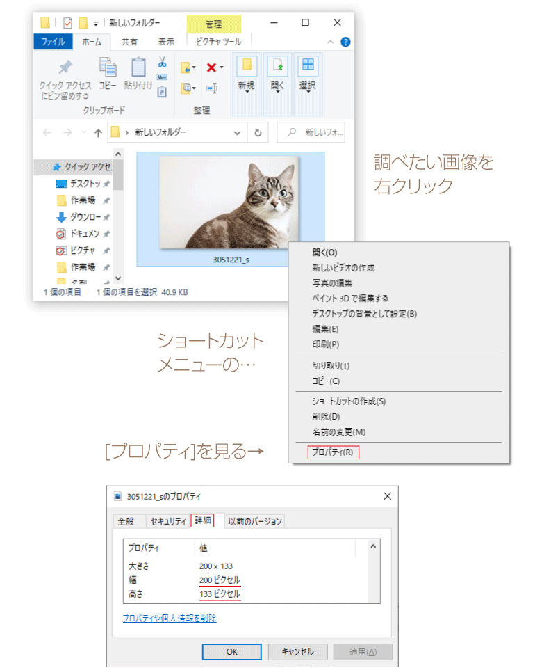  ������ ���f�� ���l�� ���Ǝ� �̂ڂ�